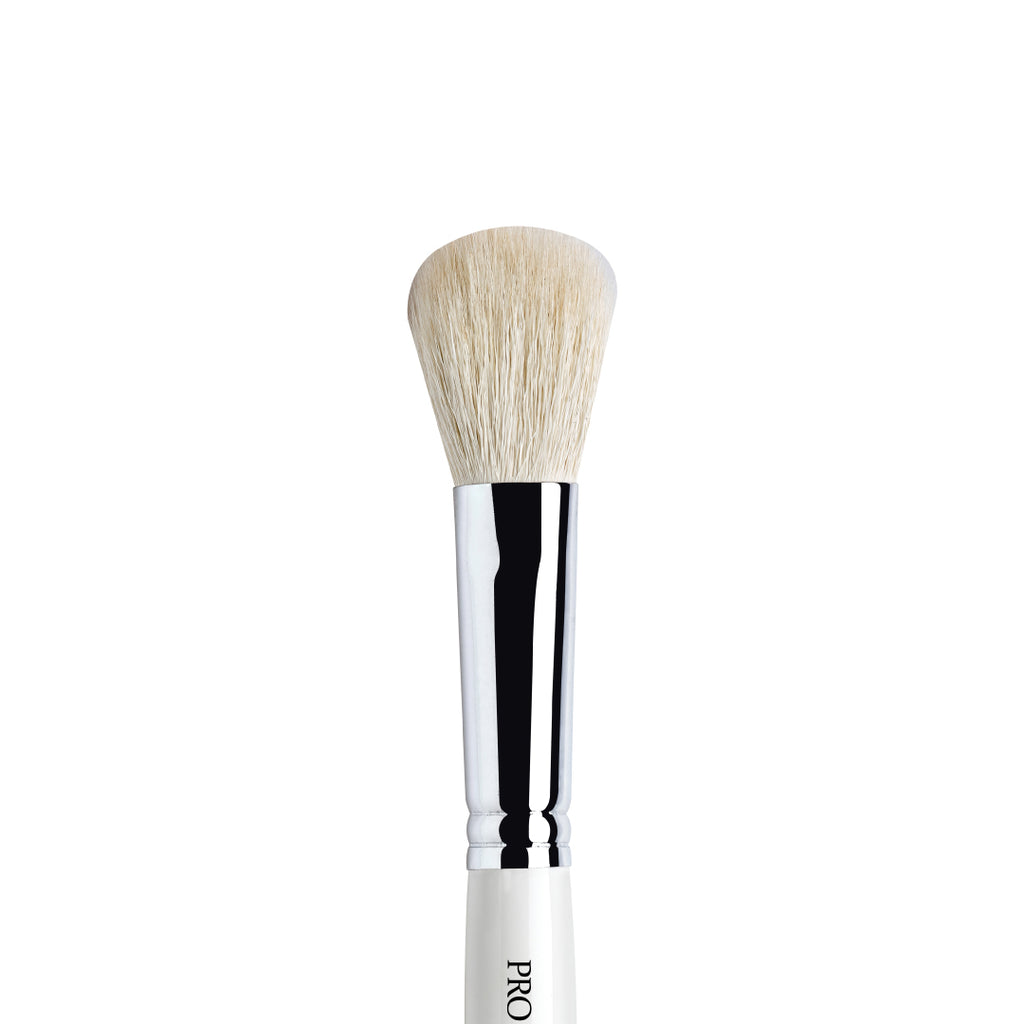 Blush Brush (No 0039)