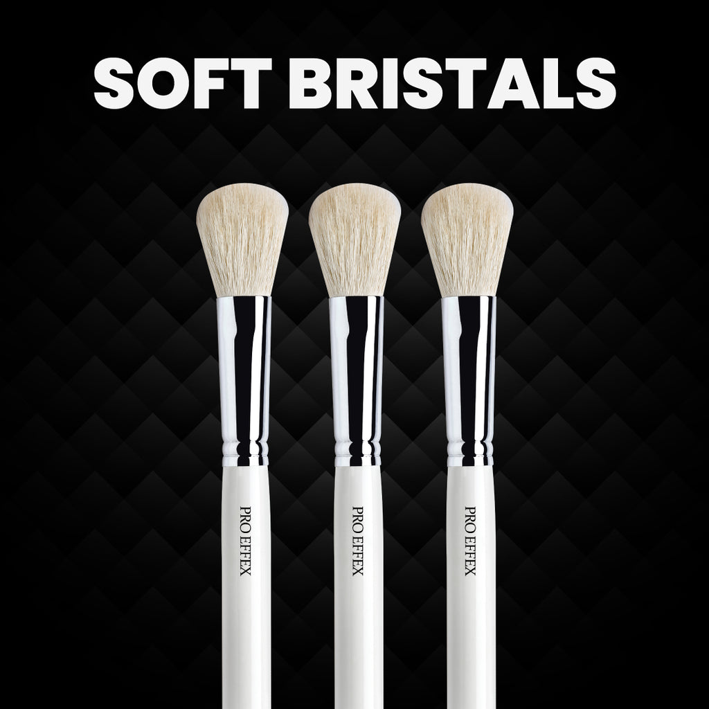 Blush Brush (No 0039)